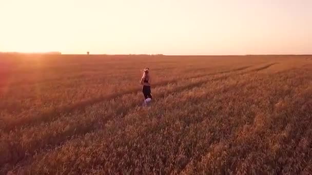 Buğday Alanında Genç Sportif Kız Runner — Stok video