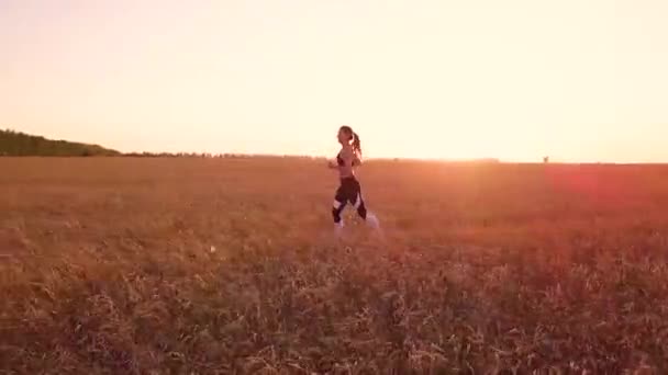 麦畑でスポーティーな少女ランナー — ストック動画