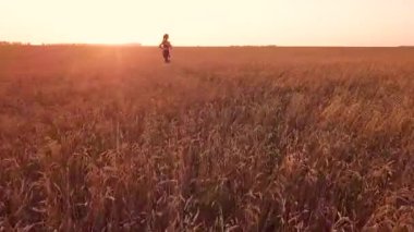 Ağır çekim koşucu kız buğday alanında