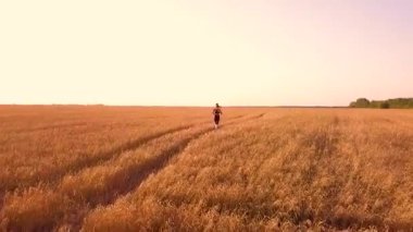 Buğday alanında genç sportif kız runner