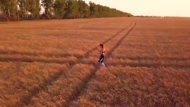 Молода Спортивна Дівчина Біжить Пшеничному Полі — стокове відео