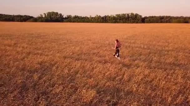 Chica Corredor Cámara Lenta Campo Trigo — Vídeo de stock