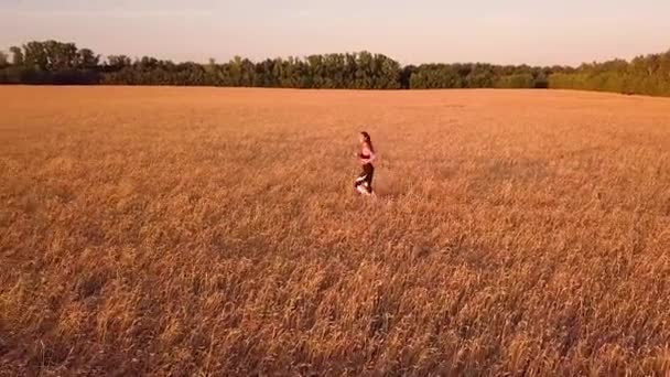 Ağır Çekim Koşucu Kız Buğday Alanında — Stok video