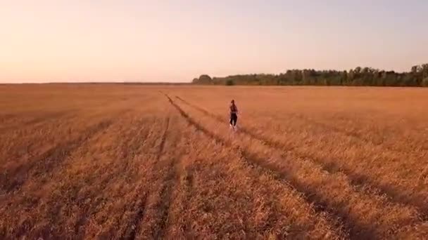 Meisje Van Sportieve Loper Tarweveld — Stockvideo