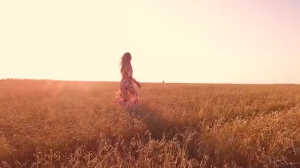 Chica Joven Caminando Campo Trigo — Vídeo de stock