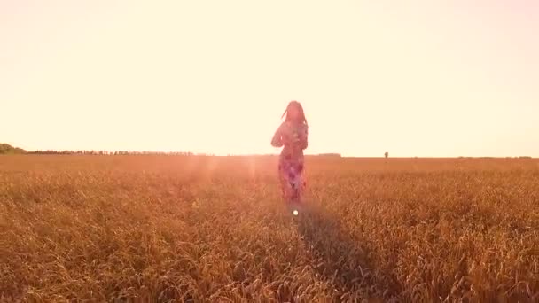 Chica Joven Caminando Campo Trigo — Vídeos de Stock