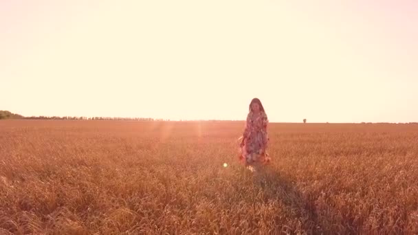 Young Girl Walking Wheat Field — Stock Video