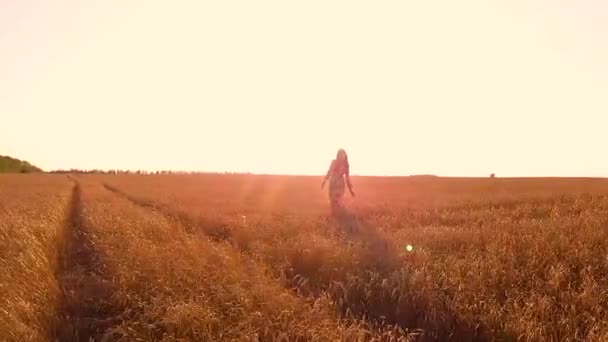 Junges Mädchen Fuß Weizenfeld — Stockvideo