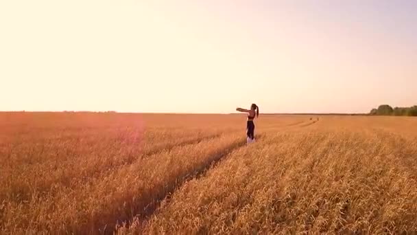 Young Sporty Girl Runner Wheat Field — Stock Video