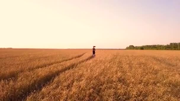 Sportovní Dívka Běžec Pšeničné Pole — Stock video