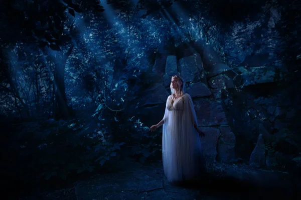 Genç Elf Kızı Gece Orman Versiyonu — Stok fotoğraf