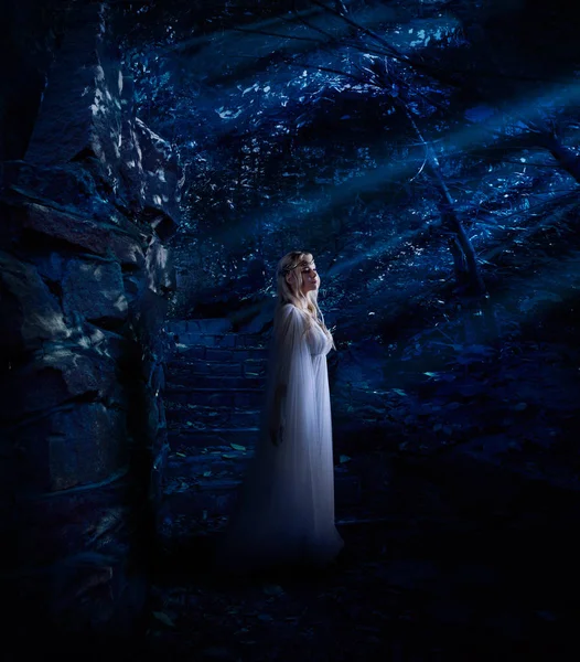 Młody Elf Dziewczyna Nocy Lesie Wersja — Zdjęcie stockowe