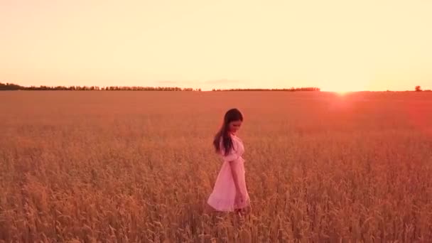 Chica Joven Caminando Campo Trigo — Vídeos de Stock