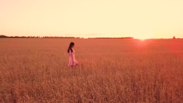 Chica Joven Caminando Campo Trigo — Vídeo de stock