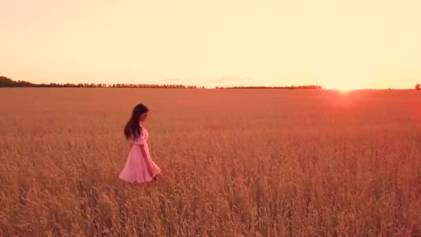 Молода Дівчина Ходить Пшеничному Полі — стокове відео