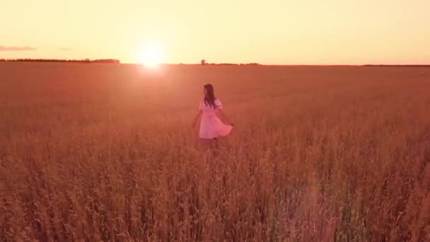 Genç Kız Buğday Sahada Yürüyüş — Stok video