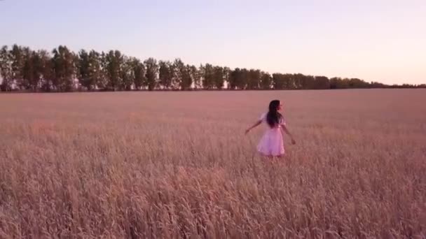 Genç Kız Buğday Sahada Yürüyüş — Stok video