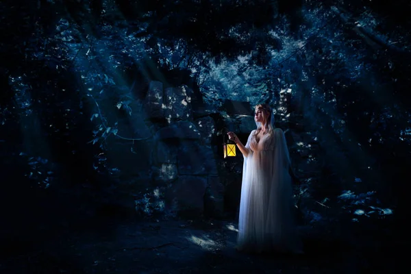 Genç Elf Kızı Gece Orman Versiyonu — Stok fotoğraf