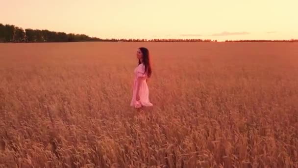 Jong Meisje Tarweveld Bij Zonsondergang — Stockvideo