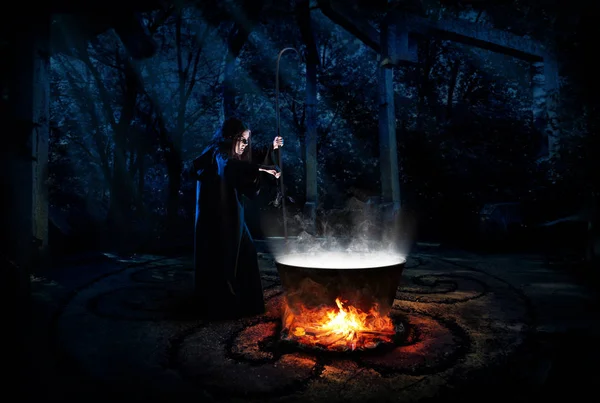 Vrăjitoare Înfricoșătoare Pădurea Noapte Versiune Broască — Fotografie, imagine de stoc