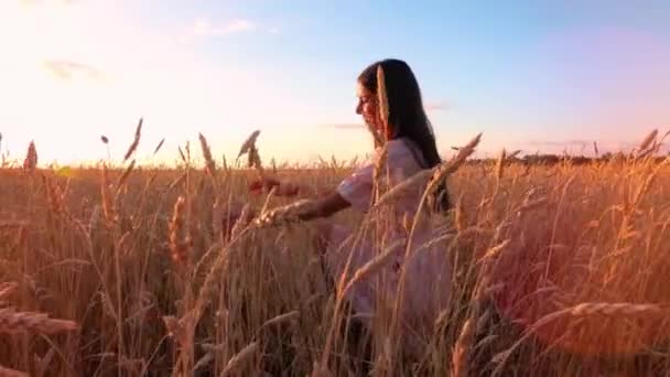 Jeune Fille Dans Champ Blé — Video