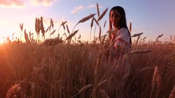 Jeune Fille Dans Champ Blé — Video