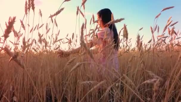 Buğday Alanında Genç Kız — Stok video