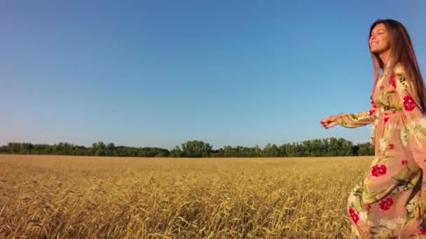 Young Girl Wheat Field — Stock Video