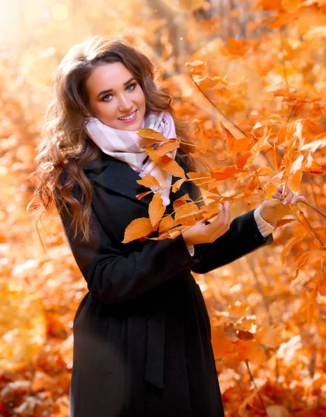 Giovane Ragazza Nella Soleggiata Foresta Autunnale — Foto Stock