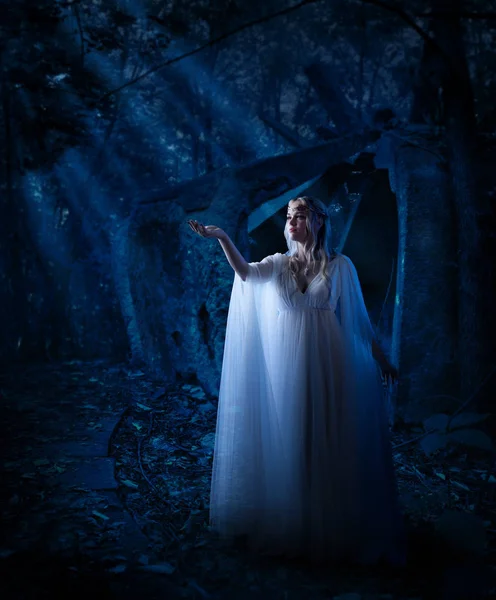 Młody Elf Dziewczyna Nocy Lesie — Zdjęcie stockowe
