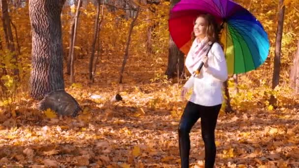 Junges Mädchen Spaziert Herbstwald — Stockvideo