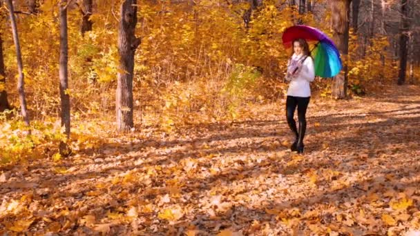 Young Girl Walking Autumn Forest — Stock Video