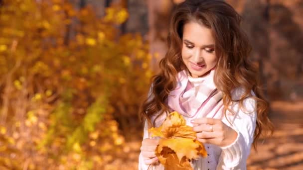 在秋天的森林中的小女孩 — 图库视频影像