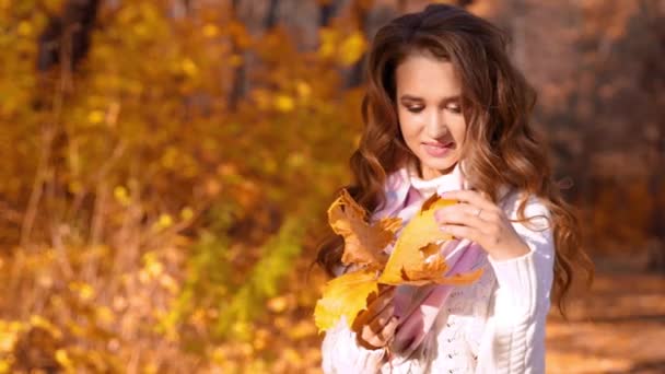 在秋天的森林中的小女孩 — 图库视频影像