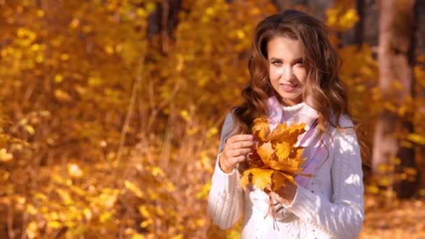 Young Girl Autumn Forest — Stock Video