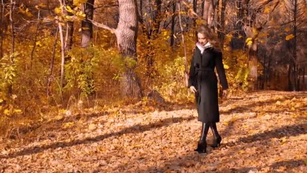 Jeune Fille Dans Forêt Automne — Video