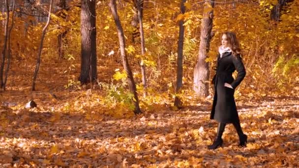 Mladá Dívka Podzimním Lese — Stock video