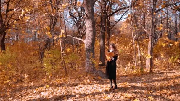 Young Girl Autumn Forest — Stock Video