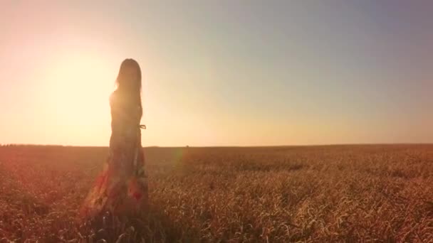 Mujer Joven Campo Trigo — Vídeo de stock