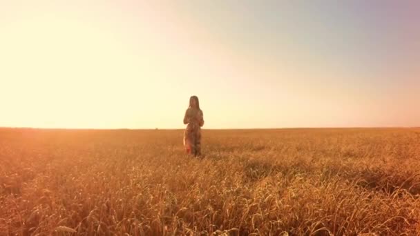 Buğday Tarlasında Genç Bir Kadın — Stok video