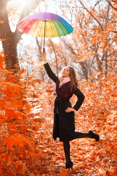 年轻的女孩在秋天森林在阳光天 — 图库照片