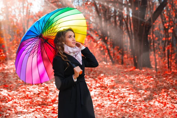日当たりの良い秋の森の少女 — ストック写真