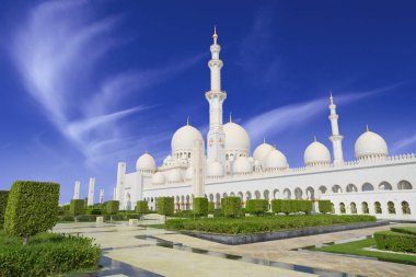 Abu Adabi şehir'Şeyh Zayed Camisi