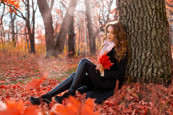 Junges Mädchen Sonnigen Herbstwald — Stockfoto