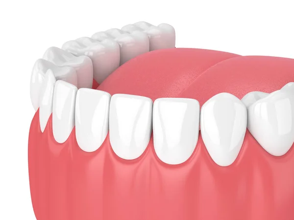 Renderização Modelo Mandíbula Com Dentes Sobre Fundo Branco — Fotografia de Stock
