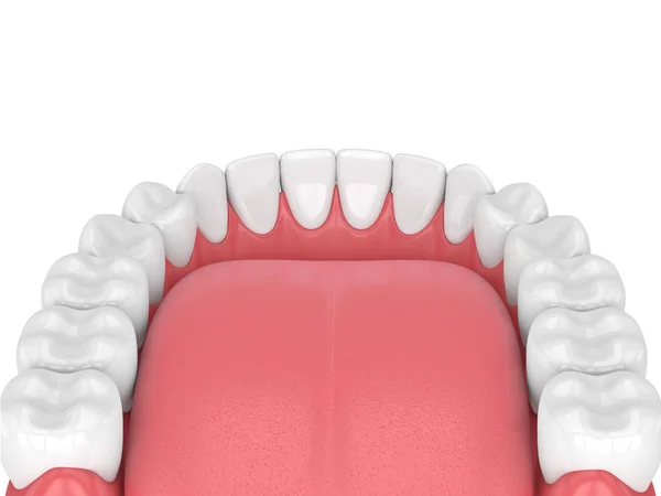 Renderização Modelo Mandíbula Com Dentes Sobre Fundo Branco — Fotografia de Stock