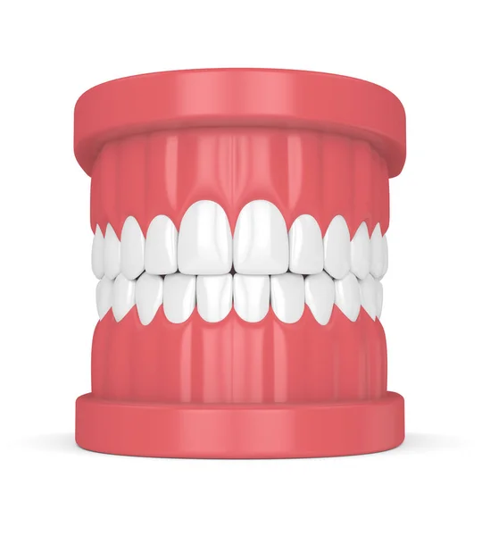 Renderização Mandíbula Com Dentes Sobre Branco Conceito Saúde Bucal — Fotografia de Stock