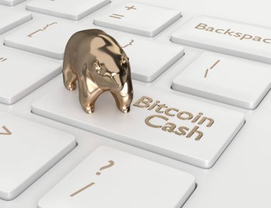 bilgisayar klavye Bitcoin nakit düğmesi ve ayı ile 3D render. Cryptocurrencies kavramı.
