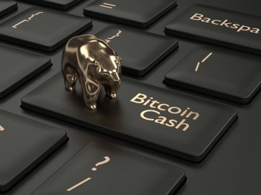 bilgisayar klavye Bitcoin nakit düğmesi ve ayı ile 3D render. Cryptocurrencies kavramı.