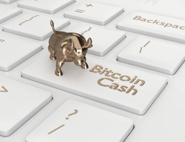 bilgisayar klavye Bitcoin nakit düğmesi ve boğa ile 3D render. Cryptocurrencies kavramı.